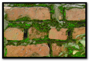 Replicated Image Editing